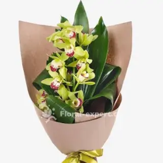 Bouquet of cymbidium orchids
