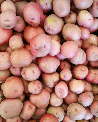 Cartofi roz 1kg