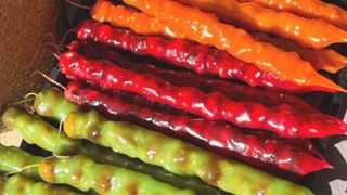 Czurczchela z morelą i orzechem włoskim