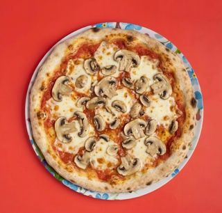Funghi