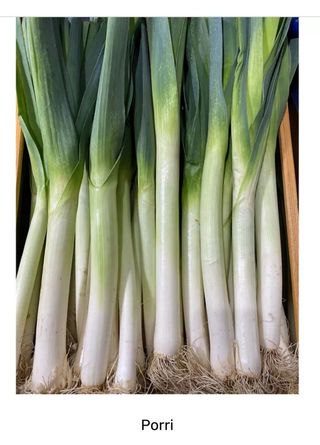 Porri Italia 500 gr. ca.