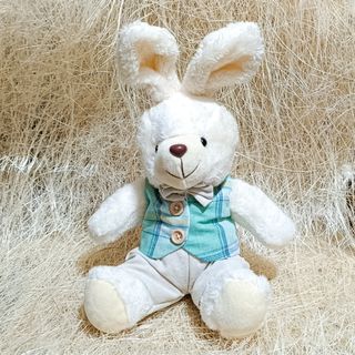 Coelho Fofinho verde