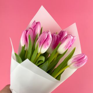 Букет з 7 рожевих тюльпанів