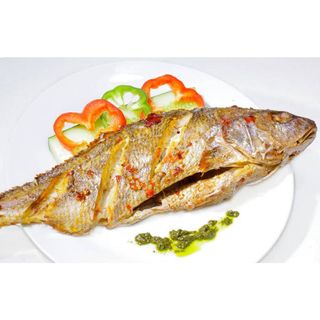 Croaker Fish