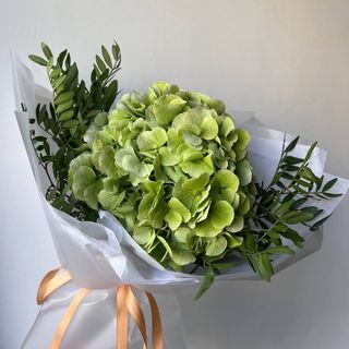 Екзотична гортензія