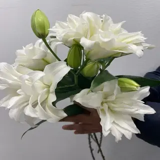Ramo Lilium Blanco ( 4 tallos )