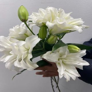 Ramo Lilium Blanco ( 4 tallos )