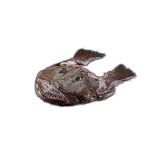 Cabeza De Rape 1 Pieza