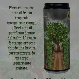 Before The Storm - Gluten Free 