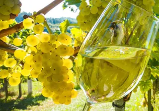 Vino locale bianco
