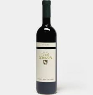 Merlot Colli Bolognesi D.O.C