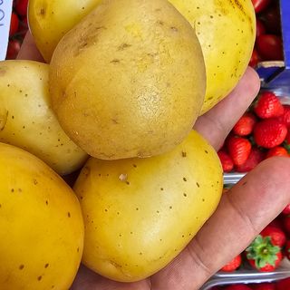 Patate per bollitura calibro piccola al kg 