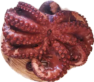 Pulpo A La Gallega