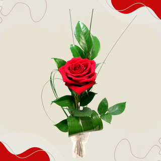 Rosa fresca individual