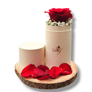 Soul tube colore ecru - regala emozioni