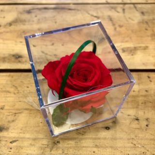 Caja mediana de rosa preservada roja