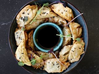 Гьодза з качкою (200g)