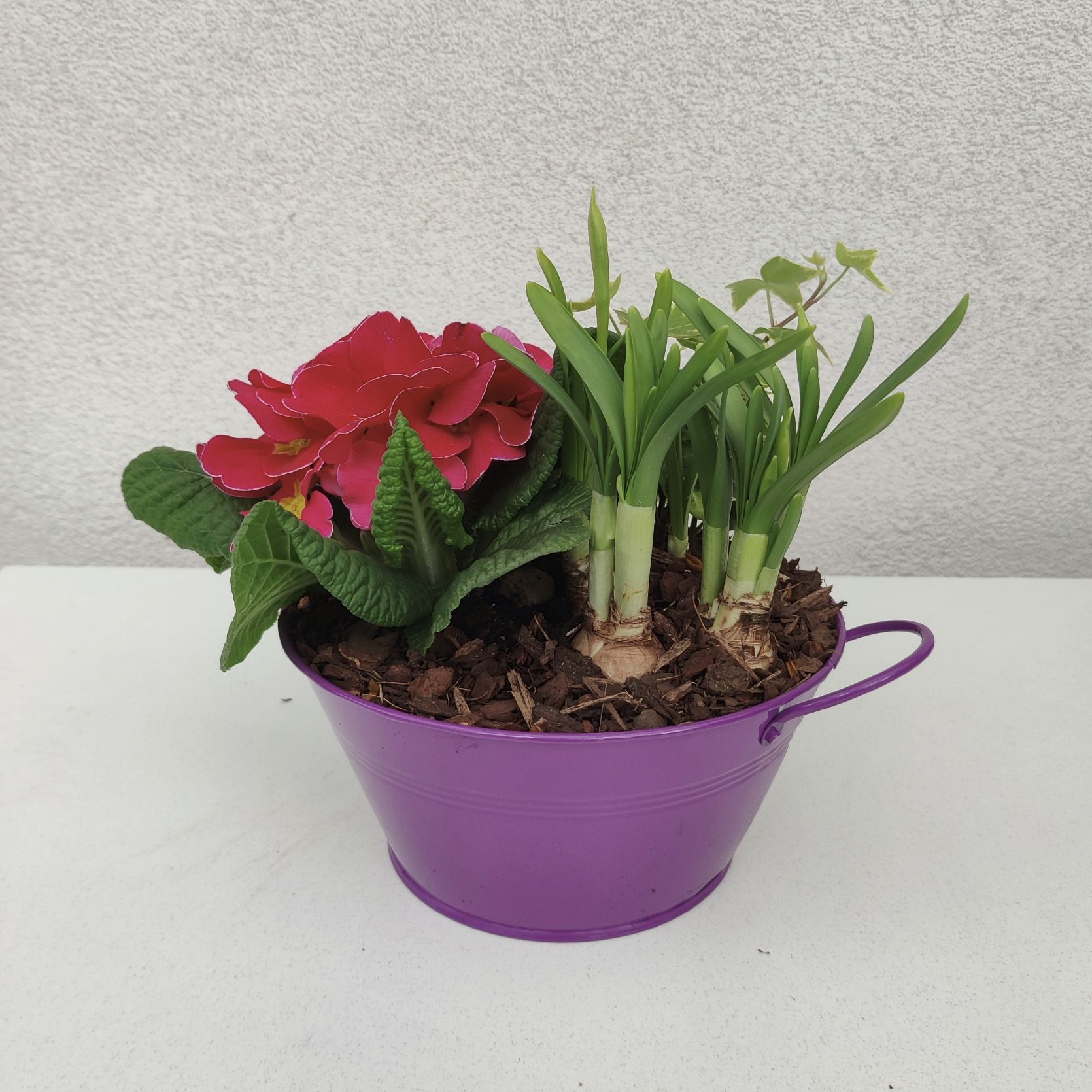 Саксийни цветя