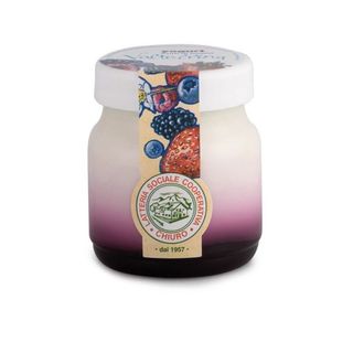 Yogurt ai frutti di bosco