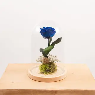 Cúpula Rosa "Bella Y Bestia" Azul