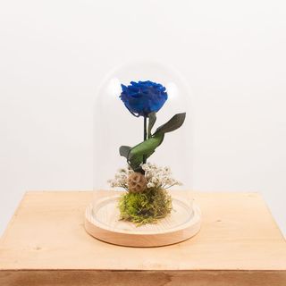 Cúpula Rosa "Bella Y Bestia" Azul