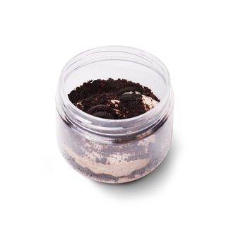 Mousse Tasty Oreo