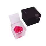 Rosa preservada Flowercube 8x8 Color Rosa