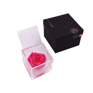 Rosa preservada Flowercube 8x8 Color Rosa