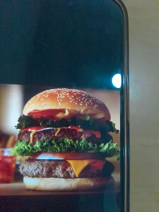 Frango burger duplo