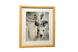 Guula Art- Baby kanga