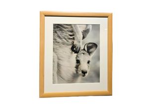 Guula Art- Baby kanga