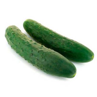 Concombre Long Kg