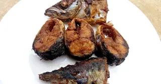 Fish