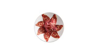 Cecina 100 Gr.