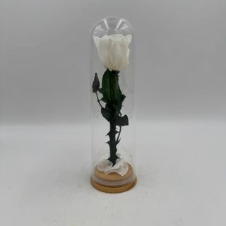 Cupula  Love In Roses Blanco