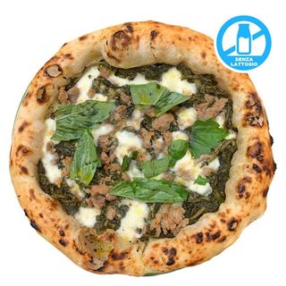 TRADIZIONE PARTENOPEA - INT