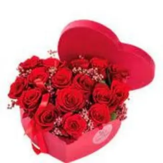 Cuore