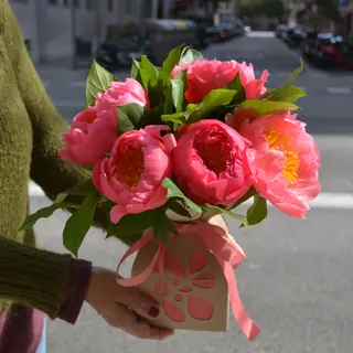 BOX PEONIAS