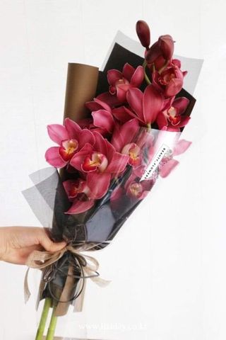 ორქიდეა