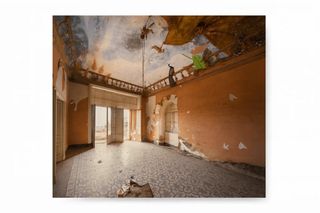 Pavone in Sicilia: Stampa su dibond Carlo Arancio 30 x 30 cm