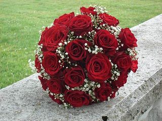 25 ruža sa gipsofilom