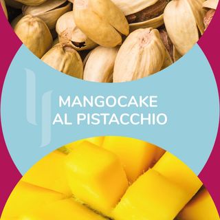 Barattolino '';Mangocake al pistacchio'' 500 gr