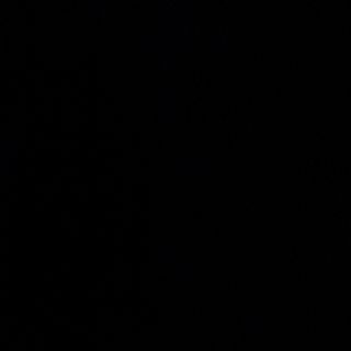 Champagne Joëlle Sausseret