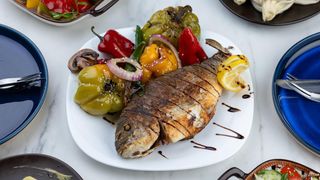 თევზი დორადო