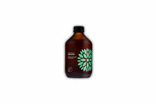 BIO Kombucha Cucumber  Coriander