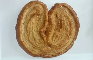 Palmera Normal 