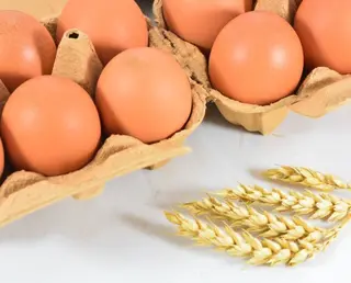 Huevos XL 6unidades