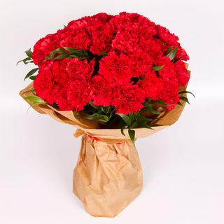 Goździk czerwony duży (50szt)