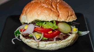 Hamburger