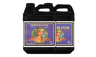 PH Perfect Sensi Bloom Part A&B 500 მლ ძირითადი სასუქი